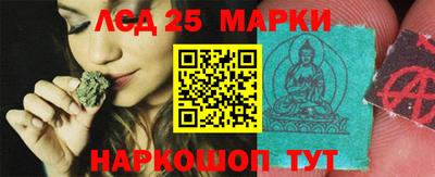 эйфоретик Донской