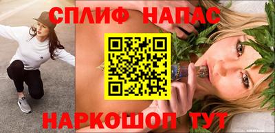 дмт Гусев