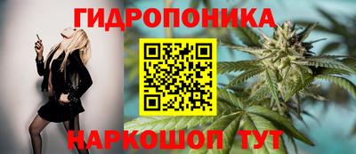 эйфоретик Донской