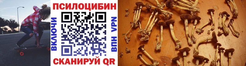 Галлюциногенные грибы мицелий где найти OMG ТОР Нижневартовск