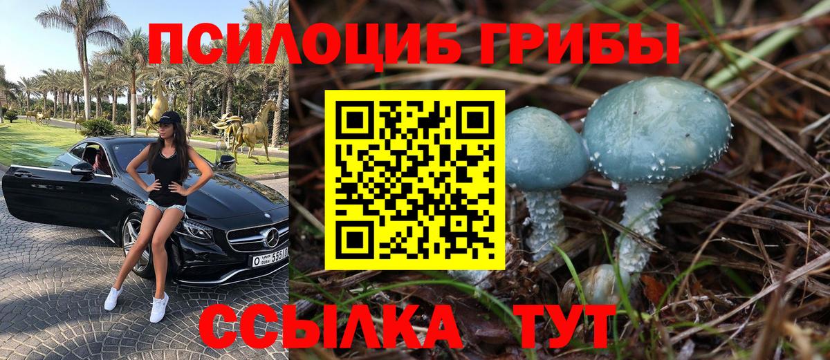 продажа наркотиков  Псилоцибиновые грибы MAGIC MUSHROOMS  Вход с VPN  Нижневартовск 